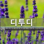 디투디 뜻: 컴퓨터 하드 디스크를 다른 하드 디스크에 백업할 수 있게 하는 디스크 대 디스크 백업 방법