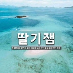 딸기잼 뜻: 딸기에 설탕 따위를 넣고 약한 불로 졸여 만든 식품.