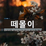 떼몰이 뜻: 흘러내리는 물을 이용하여 뗏목을 몰아서 물아래로 내려보냄. 또는 그 일.