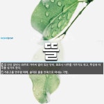 뜰 뜻: 집 안의 앞뒤나 좌우로 가까이 딸려 있는 빈터. 화초나 나무를 가꾸기도 하고, 푸성귀 따위 [국어 사전]