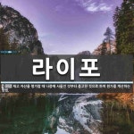 라이포 뜻: 재고 자산을 평가할 때 나중에 사들인 것부터 출고한 것으로... 라이포 뜻: 재고 자산을 평가할 때 나중에 사들인 것부터 출고한 것으로... 