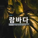 람바다 뜻: 브라질의 관능적인 춤과 노래.