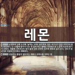 레몬 뜻: 운향과의 상록 소교목. 높이는 3미터 정도이며, 잎은 어긋나고 달걀 모양인데 끝이 뾰족하다 [국어 사전]