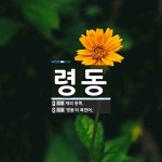 령동 뜻: 재의 동쪽., ‘영동’의 북한어. [국어 사전]