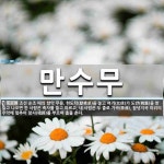 만수무 뜻: 조선 순조 때의 향악 무용. 헌도탁(獻桃卓)을 놓고 여기(女伎)가 도반(桃盤)을 받들고 나