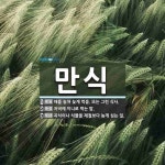 만식 뜻: 때를 놓쳐 늦게 먹음. 또는 그런 식사., 저녁에 끼니로 먹는 밥., 곡식이나 식물을 제철 [국어 사전]