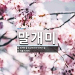 사업하는말개미 | 말개미 뜻