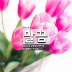 말끔 뜻: 조금도 남김없이 모두 다., ‘말끔하다’의 어근. [국어 사전]