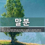 말분 뜻