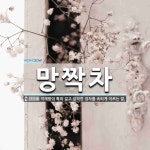 망짝차 뜻: 적재함이 특히 길고 넙적한 짐차를 속되게 이르는 말.