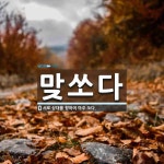 맞쏘다 뜻: 서로 상대를 향하여 마주 쏘다.