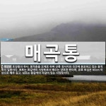매곡통 뜻: 토양통의 하나. 붕적층을 모재로 하며 산록 경사지와 곡간에 분포하고 있는 충적토의 일종이다