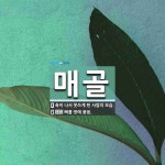 매골 뜻: 축이 나서 못쓰게 된 사람의 모습., 뼈를 땅에 묻음. [국어 사전]
