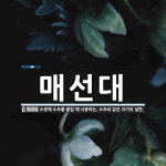 매선대 뜻: 소광에 소초를 붙일 때 사용하는, 소초와 같은 크기의 널판.