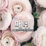 매취 뜻: 마음이 홀리어 정신이 황홀하게 됨.
