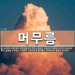 머무름 뜻: 크로마토그래피에서 이동상을 따라 흐르는 물질이 고정상과 친화력이 강하여 포섭되는 현상. 물