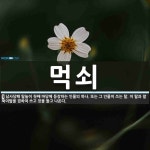 먹쇠 뜻: 남사당패 탈놀이 첫째 마당에 등장하는 인물의 하나. 또는 그 인물이 쓰는 탈. 이 탈과 말