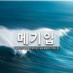 메기입 뜻: 입아귀가 길게 째져 넓게 생긴 입을 놀림조로 이르는 말.