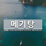 메기탕 뜻