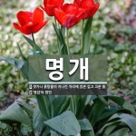 명개 뜻: 갯가나 흙탕물이 지나간 자리에 앉은 검고 고운 흙., ‘명감’의 방언 [국어 사전]