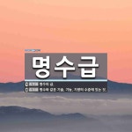 명수급 뜻: 명수의 급., 명수와 같은 기술, 기능, 기량의 수준에 있는 것. [국어 사전]