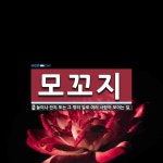 모꼬지 뜻: 놀이나 잔치 또는 그 밖의 일로 여러 사람이 모이는 일.