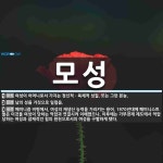 모성 뜻