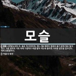 모슬 뜻: 사면발닛과의 이. 몸은 게 모양이며, 제5~제8 배마디 옆쪽의 돌기 끝에 많은 털이 있다. [국어 사전]