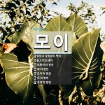 모이 뜻: 닭이나 날짐승의 먹이., 물고기의 새끼., ‘모퉁이’의 방언, ‘뫼’의 방언, ‘모이’의 [국어 사전] 모이 뜻: 닭이나 날짐승의 먹이.... 