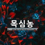 목심농 뜻: 주사액의 영향으로 돼지의 목 주변에 발생하는 고름.
