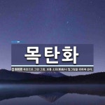 목탄화 뜻: 목탄으로 그린 그림. 보통 소묘(素描)나 밑그림을 위하여 쓴다.