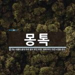 몽톡 뜻: 가는 사물의 끝이 아주 짧고 무딘 모양. ‘몽똑’보다 거센 느낌을 준다.