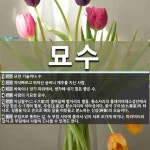 묘수 뜻: 묘한 기술이나 수., 약삭빠르고 뛰어난 솜씨나 재주를 지닌 사람., 바둑이나 장기 따위에서 [국어 사전]
