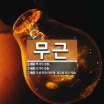 무근 뜻: 뿌리가 없음., 근거가 없음., 건설 부재 따위에, 철근을 넣지 않음. [국어 사전]