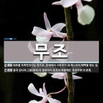 무조 뜻