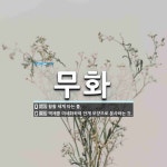 무화 뜻: 활활 세게 타는 불., 액체를 미세화하여 안개 모양으로 분사하는 것. [국어 사전]