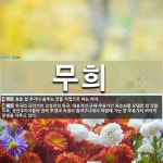 무희 뜻