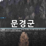문경군 뜻: 경상북도의 서북부에 있던 군. 1995년 1월 행정 구역 개편 때 점촌시와 문경시로 통합하