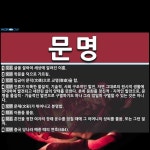 문명 뜻: 글을 잘하여 세상에 알려진 이름., 학문을 덕으로 가르침., 임금이 문덕(文德)으로 교명( [국어 사전]