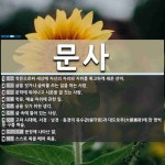 문사 뜻