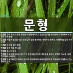 문형 뜻: 언어 요소가 문장 속에서 어떻게 배치되고 결합되는지를 형식화하고 규칙화하여 분류한 글의 유 [국어 사전]