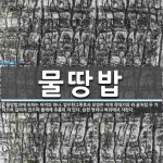 물땅밥 뜻: 물땅밥과에 속하는 이끼의 하나. 암수한그루로서 모양은 지게 작대기의 위 끝처럼 두 가닥으로