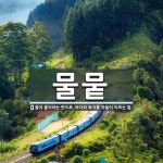 물뭍 뜻: 물과 뭍이라는 뜻으로, 바다와 육지를 아울러 이르는 말.