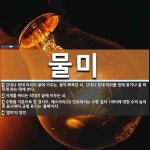 물미 뜻: 깃대나 창대 따위의 끝에 끼우는, 끝이 뾰족한 쇠. 깃대나 창대 따위를 땅에 꽂거나 잘 버 [국어 사전]