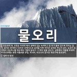 물오리 뜻
