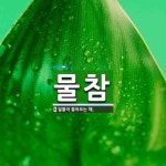 물참 뜻: 밀물이 들어오는 때.