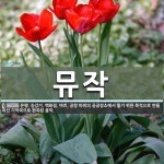 뮤작 뜻: 은행, 승강기, 백화점, 마트, 공항 따위의 공공장소에서 틀기 위한 목적으로 만들어진 기악