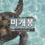 삼성개봉판매장 | 미개봉 뜻: 봉하여 두었던 것을 떼거나 열지 않음., 새 영화를 아직 상영하지 않음. [국어 사전]