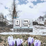 미곡 뜻: 벼에서 껍질을 벗겨 낸 알맹이., 쌀을 비롯한 갖가지 곡식. [국어 사전]