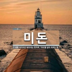 미돈 뜻: 어리석은 돼지라는 뜻으로, ‘가아’를 달리 이르는 말.